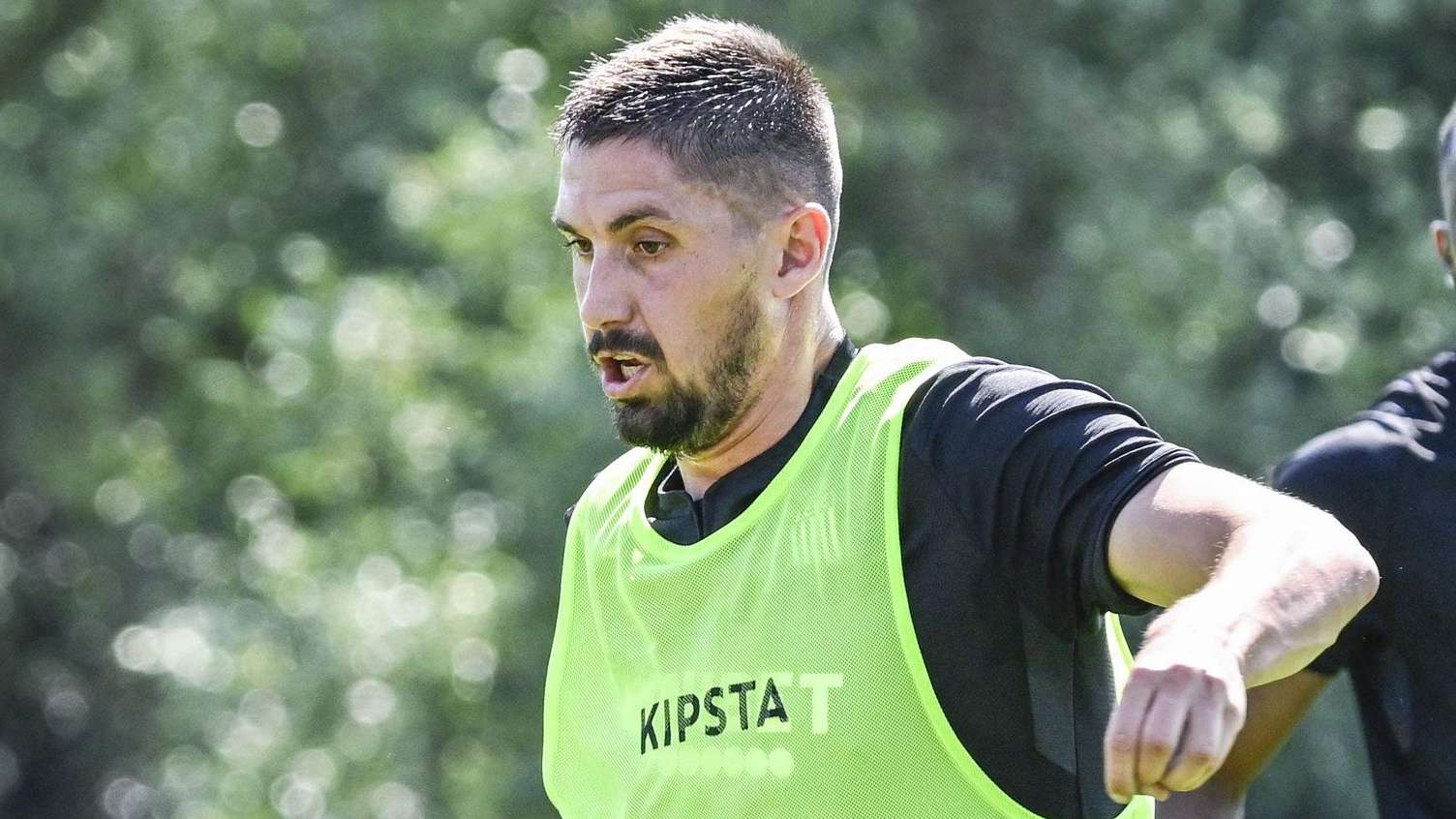 協作精神的 協作精神的